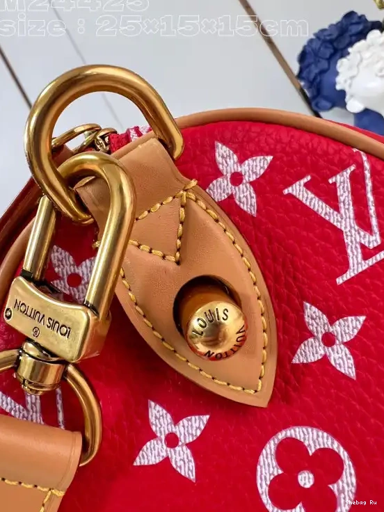 25 Vuitton Louis SPEEDY 0524